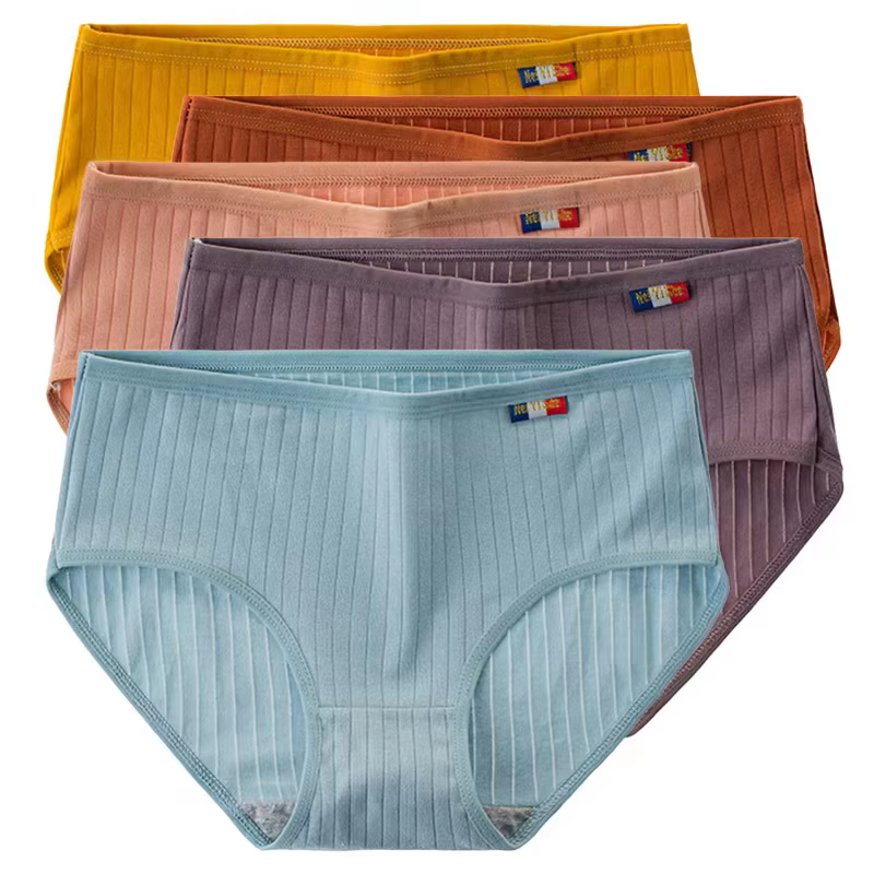 Lot de 5 culottes en coton pour femmes, sans couture, sexy, respirantes, couleur unie, lingerie pour