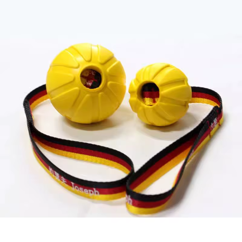 Jouet interactif pour chiens, bâton de flirt en cuir, jouet à mâcher pour chiots, balles pour chiots en période de dentition, pour chiens de petite et grande taille