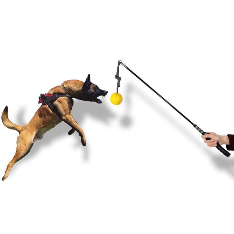 Jouet interactif pour chiens, bâton de flirt en cuir, jouet à mâcher pour chiots, balles pour chiots en période de dentition, pour chiens de petite et grande taille