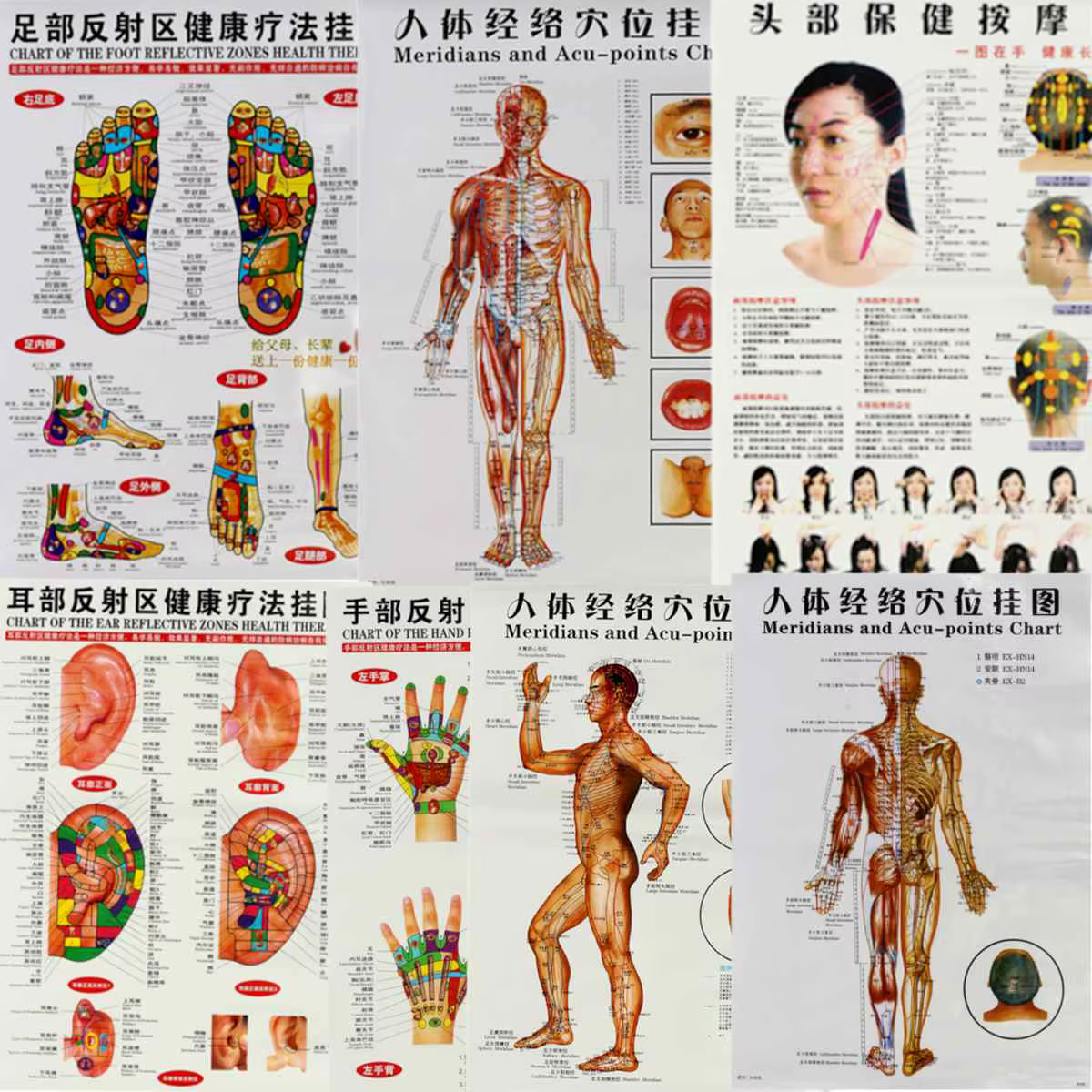 7 feuilles anglais/chinois méridien Points de tableau mural humain femme/homme Acupuncture Point de Massage carte Flipchart