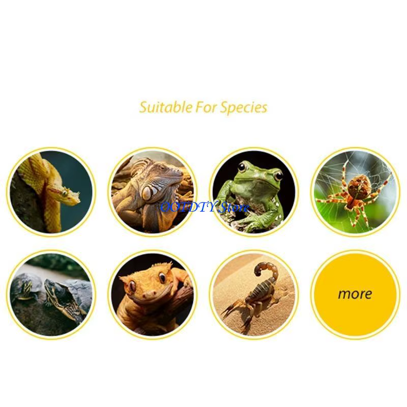 Cache-reptile 367A, grotte pour petits animaux, cachette artificielle en résine bouleau, aide à l'élevage pour serpents,