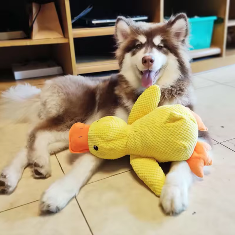 Chien endormi avec un chien câlin canard jouets pour soulager l'ennui du petit canard jaune animal de compagnie interactif en peluche poupée fournitures pour animaux de compagnie