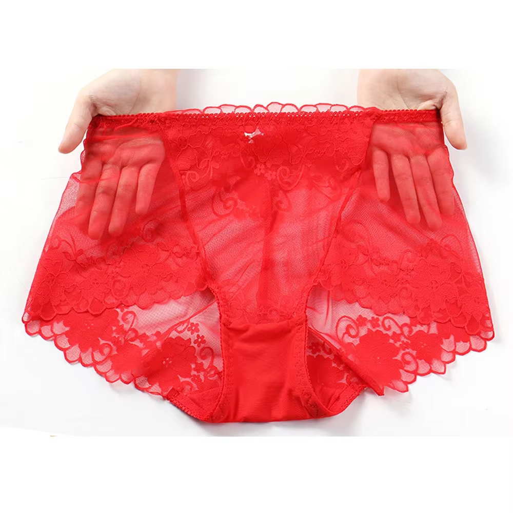 Grande taille taille haute culottes femmes sous-vêtements Sexy dentelle slips transparents grande culotte femme caleçon grande taille Lingerie L-4XL