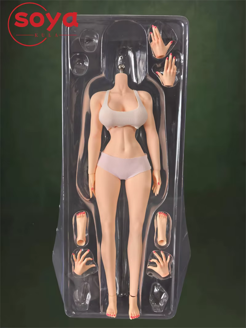 PERSON-MODEL PEM-01 Corps de figurine féminin en silicone platine, échelle 1/6, 26 cm, avec pieds détachables sans couture