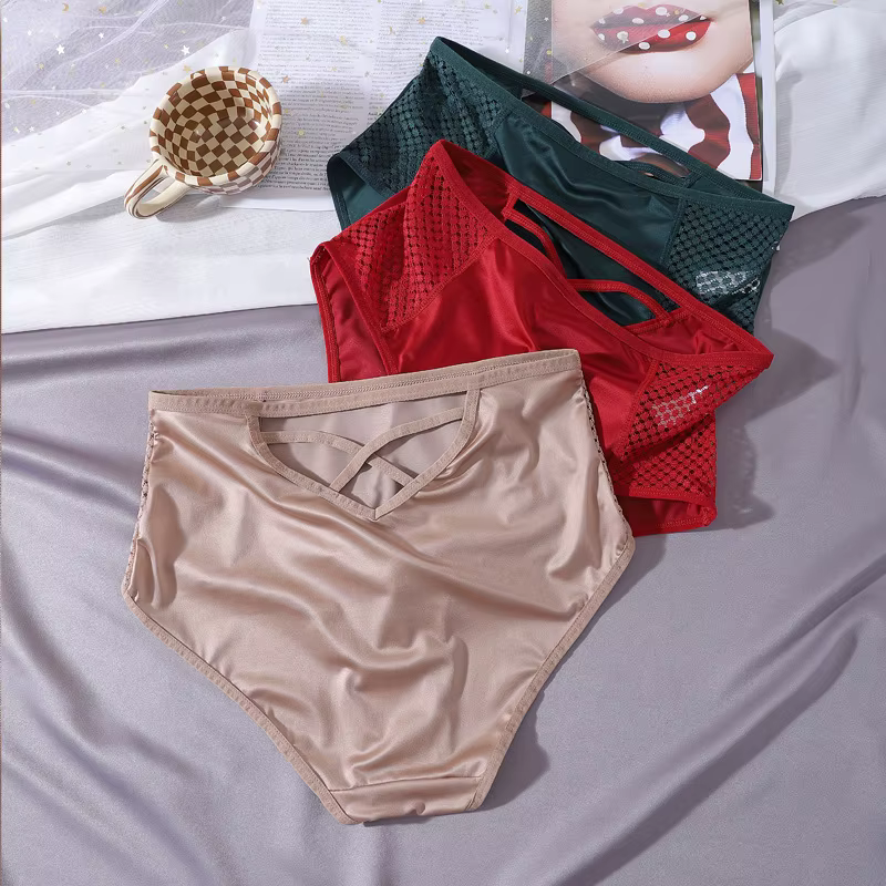Culotte taille haute Sexy pour femmes
