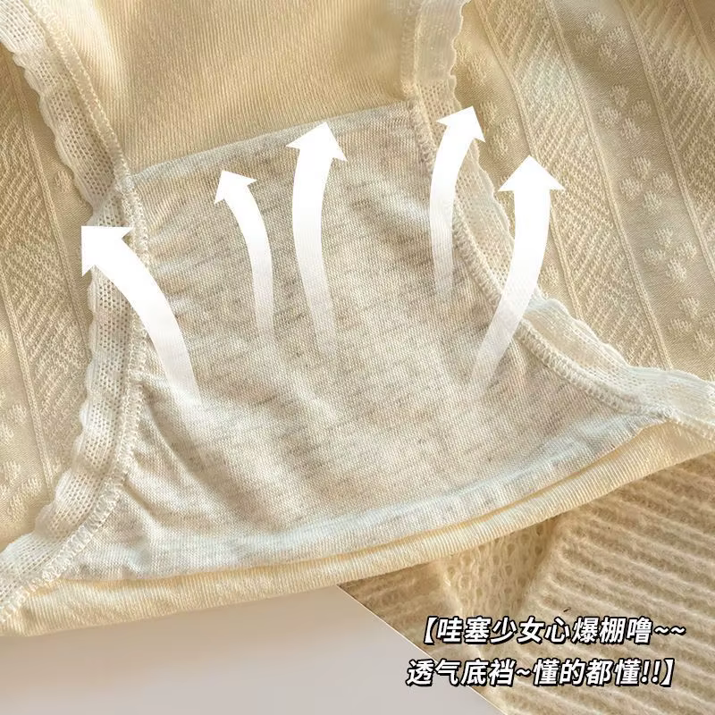 5 pièces jolie fille culottes dentelle douce respirant slips femmes sous-vêtements