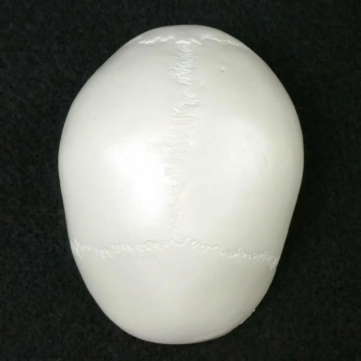 Modèle d'anatomie humaine, modèle médical, tête d'anatomie humaine, fournitures d'enseignement, modèle de crâne