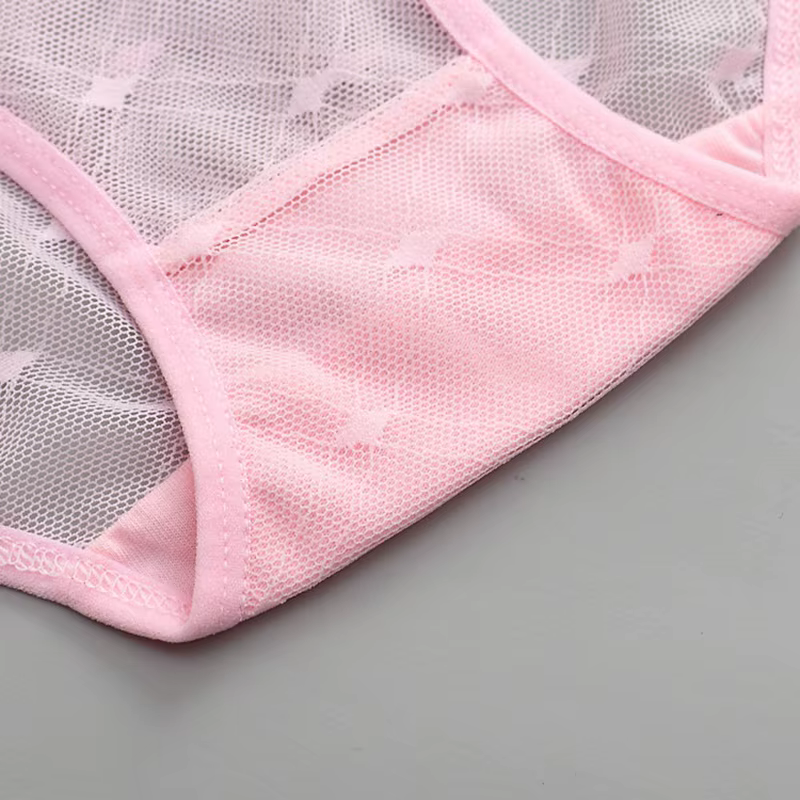 Culotte Sexy en dentelle transparente pour femmes