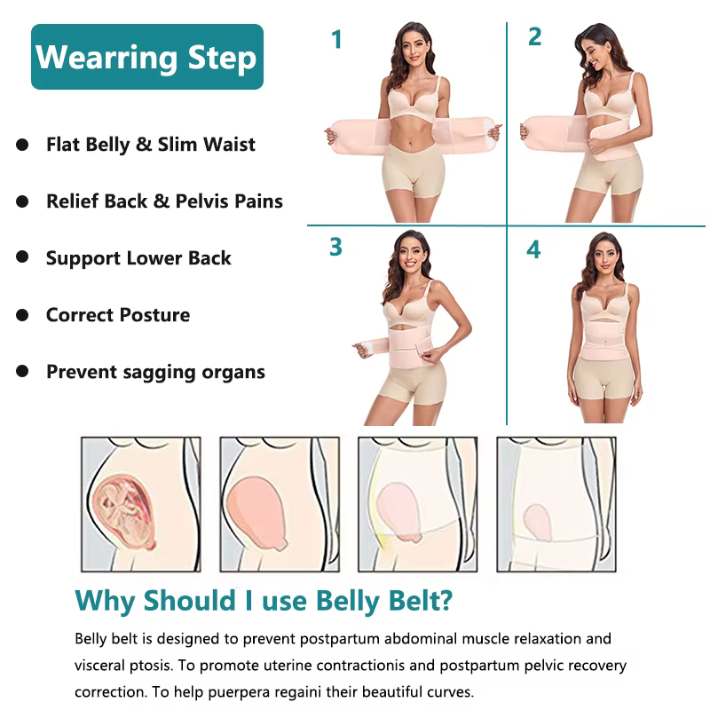 Ceinture post-partum, Section C