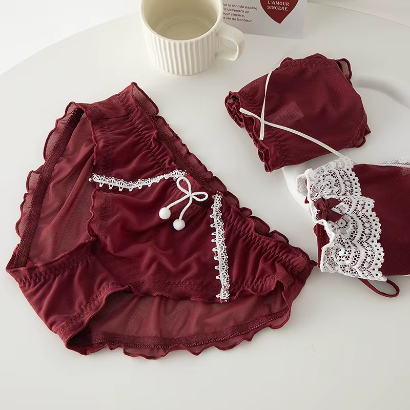 Sous-vêtements Sexy en dentelle pour femmes