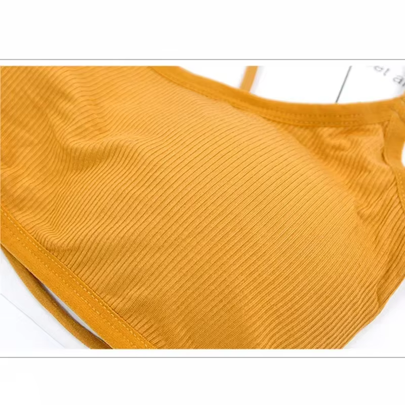 Beauté dos Yoga soutien-gorge femmes rembourré soutien-gorge de sport amovible soutien-gorge d'entraînement sans fil Fitness soutien-gorge élastique mince bandoulière soutien-gorge d'entraînement