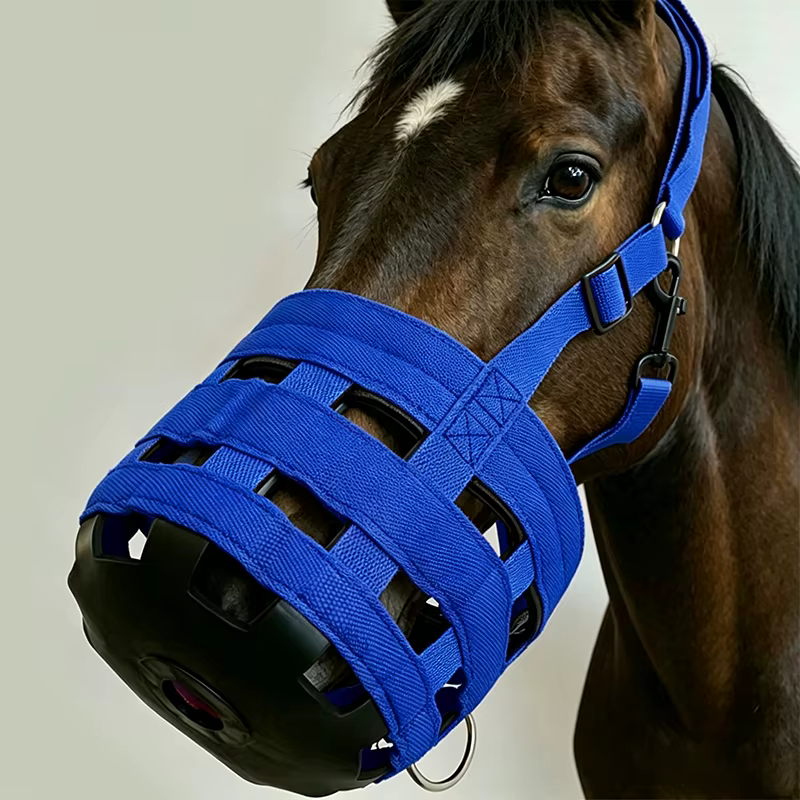 Museau de pâturage réglable, respirant et anti-mastication pour chevaux, pour l'entraînement et la pâturage